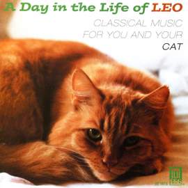 A Day in the Life of LEO