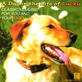 A Day in the Life of Lucky