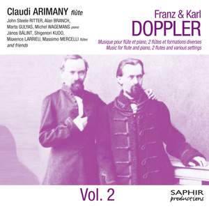 Doppler: Musique pour flûte et piano, deux flûtes et formations diverses Vol. 2