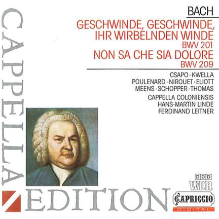 JS Bach: Geschwinde, ihr wirbelnden Winde