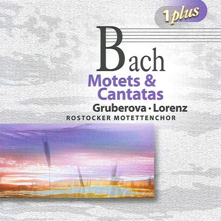 Bach: Motets & Cantatas