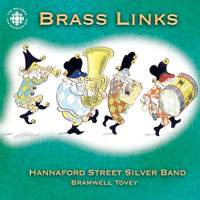 BRASS LINKS