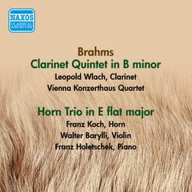 Brahms: Clarinet Quintet & Horn Trio