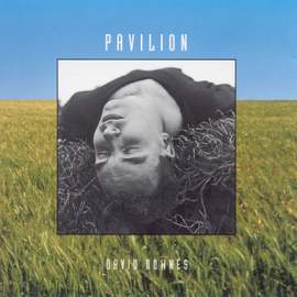 DOWNES, David: Pavilion