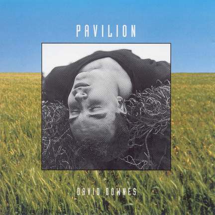 DOWNES, David: Pavilion