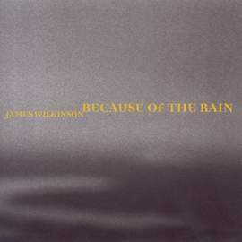 WILKINSON, James: Because of the Rain