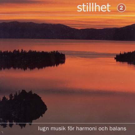 STILLHET 2 (Stillness 2)