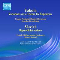 Musica Nova Bohemica & Slovenica, Vol. 6