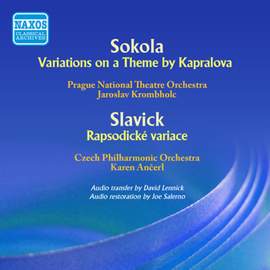 Musica Nova Bohemica & Slovenica, Vol. 6