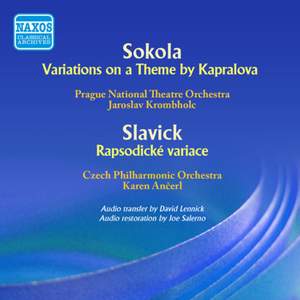 Musica Nova Bohemica & Slovenica, Vol. 6