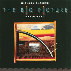 Shrieve, Michael: The Big Picture