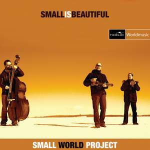 Small World Project: Small Is Beautiful