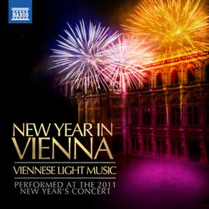 New Year in Vienna Product Image