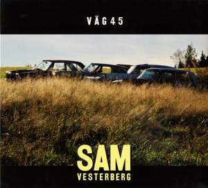 Väg 45