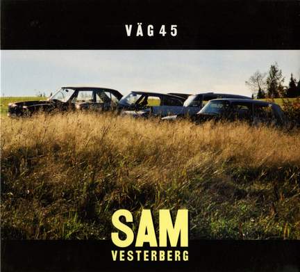Väg 45