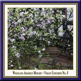 Mozart: Violin Concerto No. 5 in A major, K219 'Turkish'