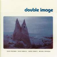 Friedman, David: Double Image