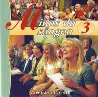 Minns du sangen, Vol. 3