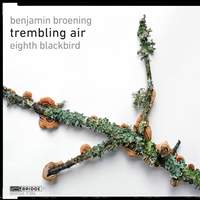 Benjamin Broening: Trembling Air