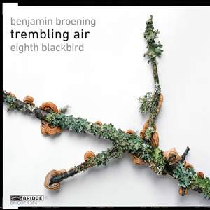 Benjamin Broening: Trembling Air