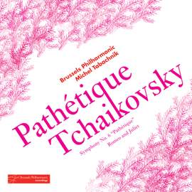 Tchaikovsky: Symphony No. 6 in B minor, Op. 74 'Pathétique'