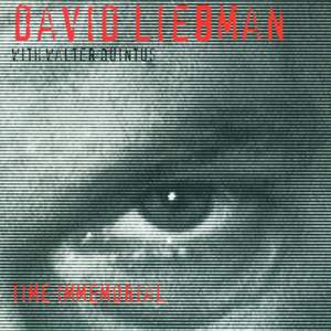 Liebman, David: Time Immemorial