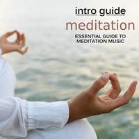 Intro Guide: Meditation