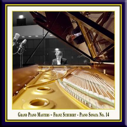 Schubert: Piano Sonata No. 14 in A minor, D784