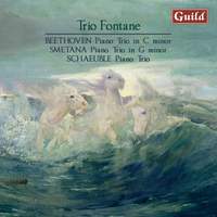 Beethoven, Smetana and Schaeuble: Trio Fontane