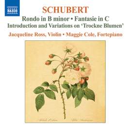 Schubert: Complete Works for Violin and Fortepiano, Vol. 2