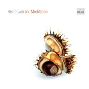 Beethoven for Meditation