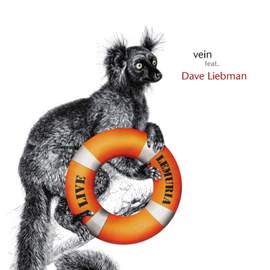 vein
