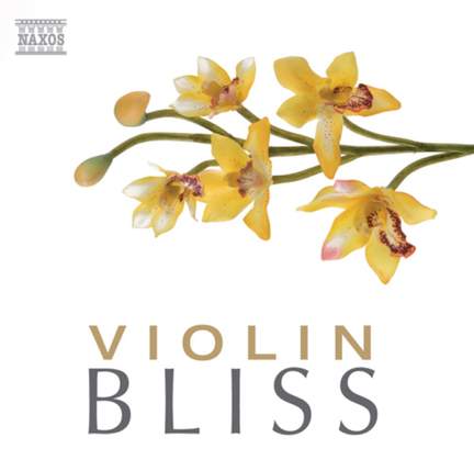 Violin Bliss