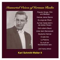 Karl Schmitt-Walter, Vol. 2: Popular Songs and Film