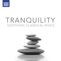 Tranquility - Soothing Classical Music