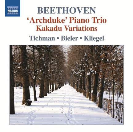 Beethoven - Piano Trios Volume 5