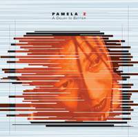 Pamela Z: A Delay Is Better