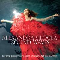 Alexandra Silocea: Sound Waves