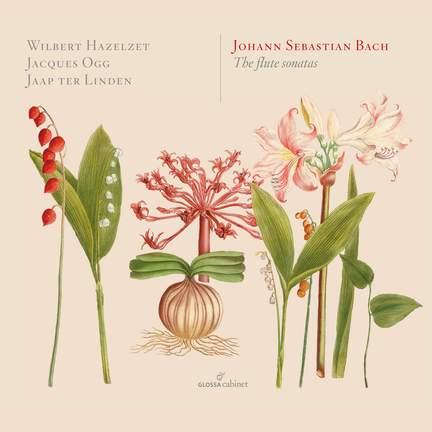 JS Bach: The Flute Sonatas