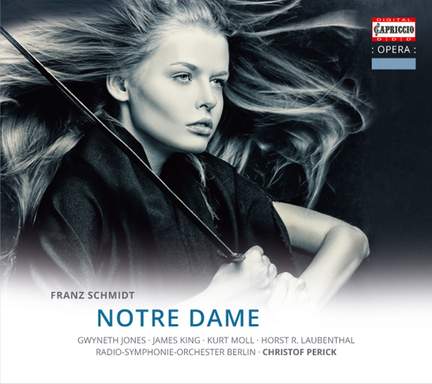 Schmidt, F: Notre Dame