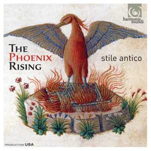 The Phoenix Rising Product Image