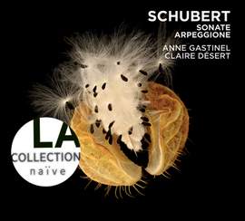 Schubert: Sonate Arpeggione D821