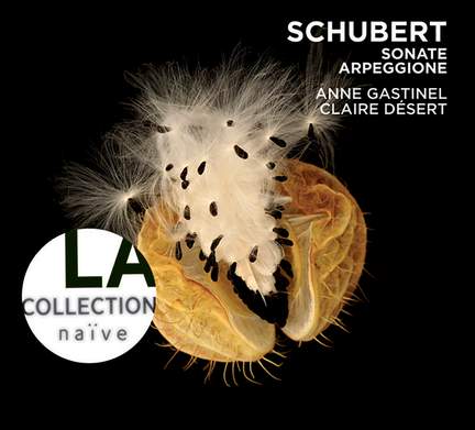 Schubert: Sonate Arpeggione D821