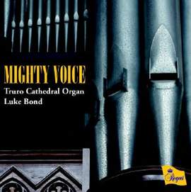 Mighty Voice