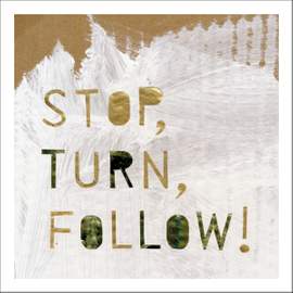 Erik Augustsson: Stop, Turn, Follow!