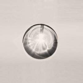 Ramon Humet: Niwa