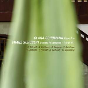C. Schumann - Piano Trio & Schubert - Rosamunde Quartet, String Trio Product Image