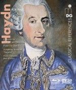 Haydn Portrait