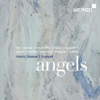 Marco Blaauw: Angels