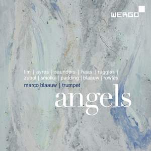 Marco Blaauw: Angels